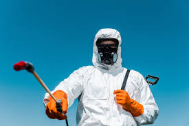 Best Emergency Pest Control  in Lake Stevens, WA